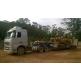 TRANSPORTE COM  PRANCHA